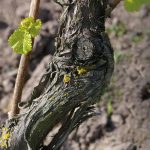 Homepage im neuen Gewand