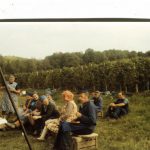 Es waren am Anfang die gängigen Sorten wie Silvaner oder Müller-Thurgau, die den Weg in den Keller fanden.